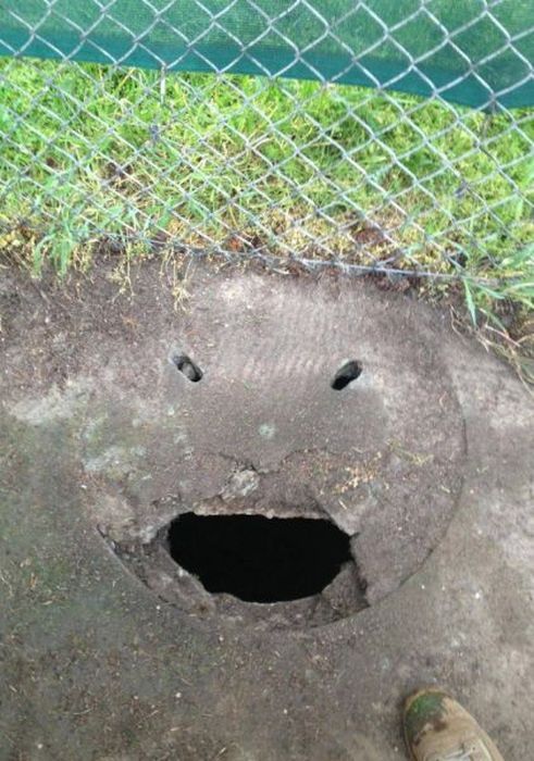 Прикольные картинки