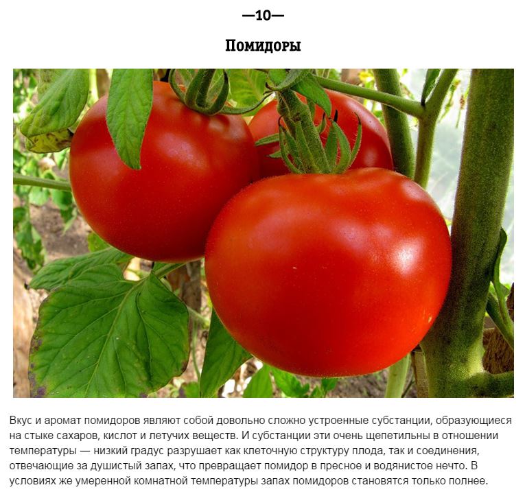 Продукты, которые нельзя хранить в холодильнике