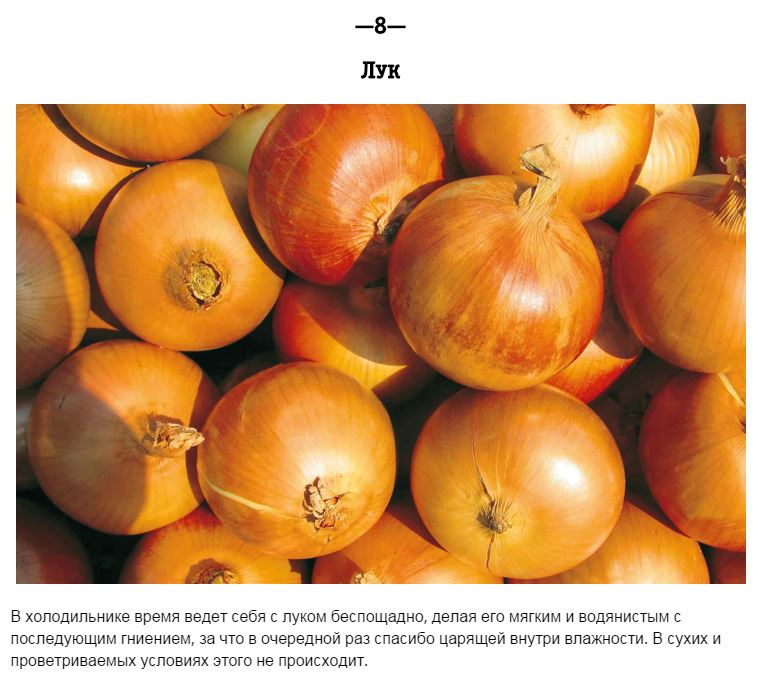 Продукты, которые нельзя хранить в холодильнике