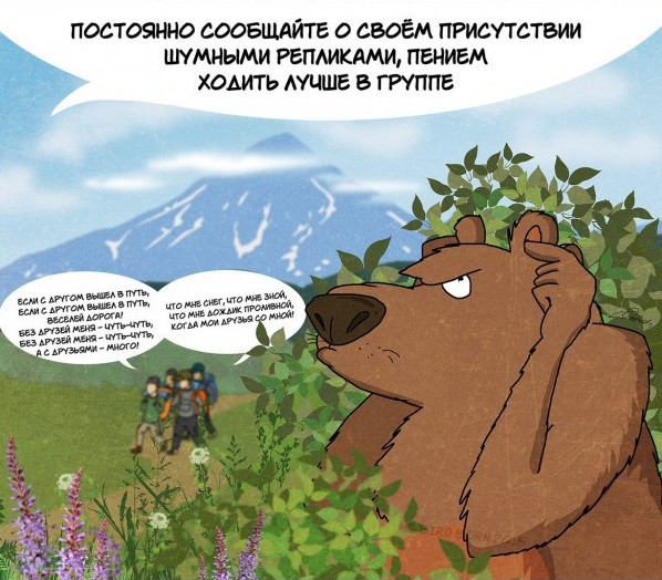 Факты которые нужно знать о медведях