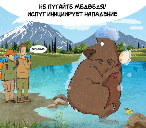 Факты которые нужно знать о медведях