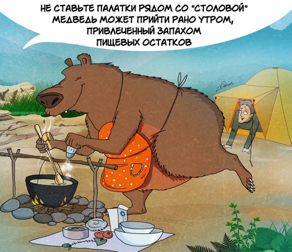 Факты которые нужно знать о медведях