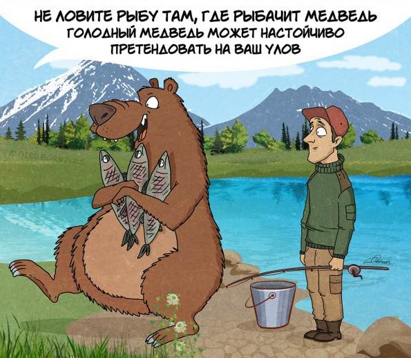 Факты которые нужно знать о медведях