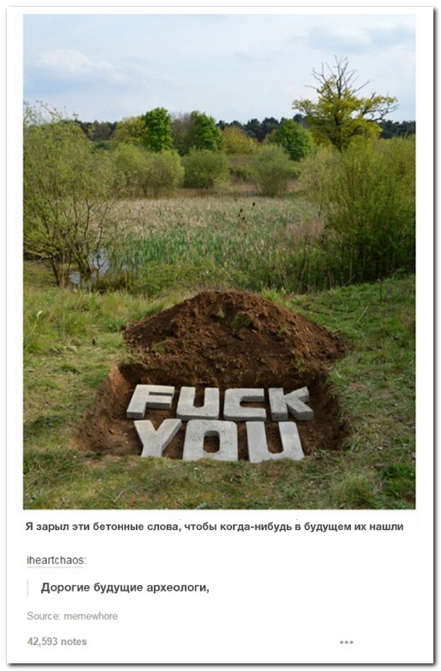 Смешные комментарии из социальных сетей