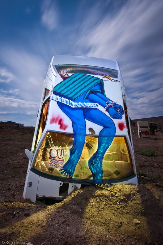 Международный автомобильный лес в Неваде (16 фото)