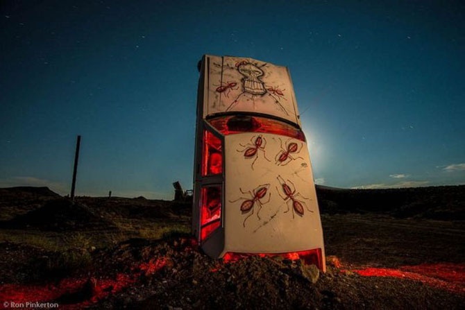 Международный автомобильный лес в Неваде (16 фото)