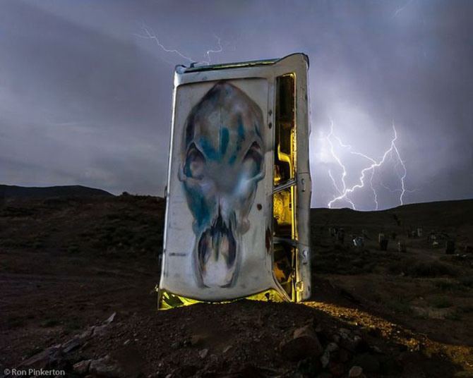 Международный автомобильный лес в Неваде (16 фото)