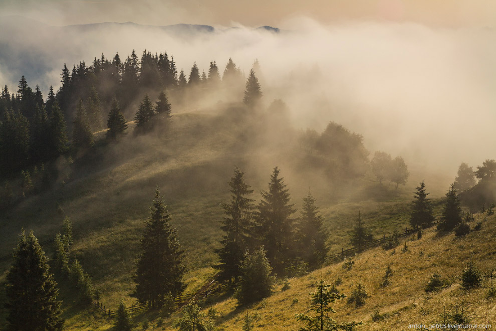 Туманы в Карпатах