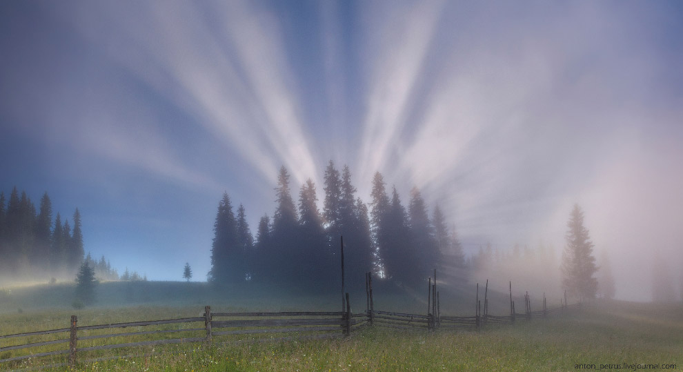 Туманы в Карпатах