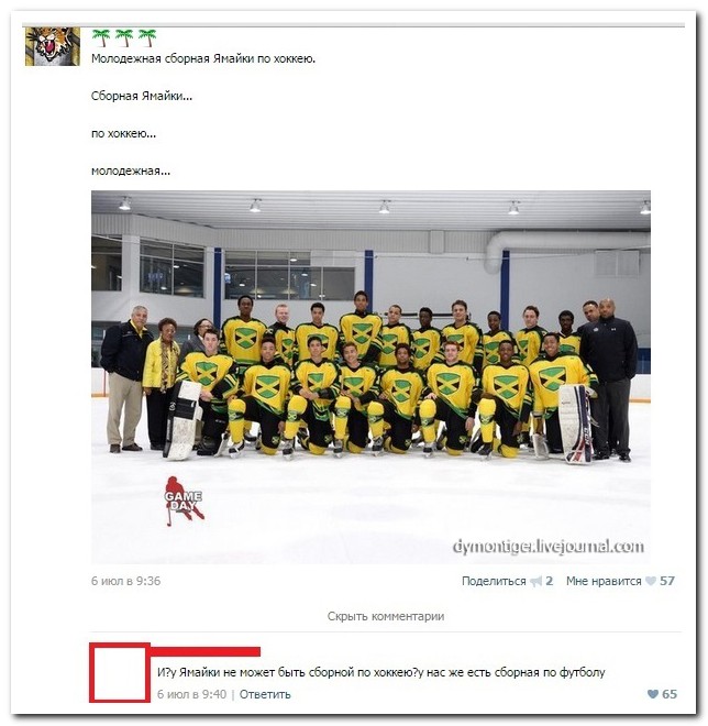 Смешные комментарии из социальных сетей