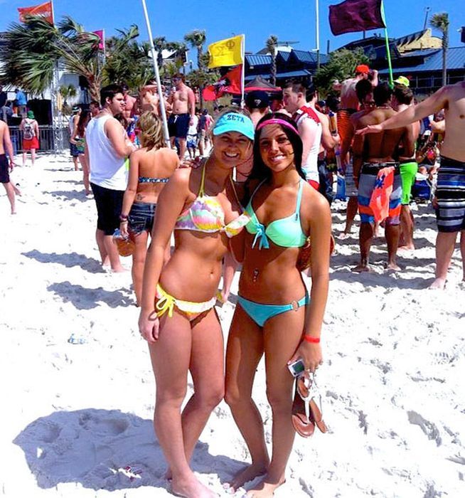Красотки в бикини