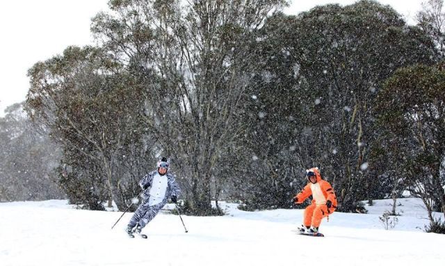 Прикрольные картинки