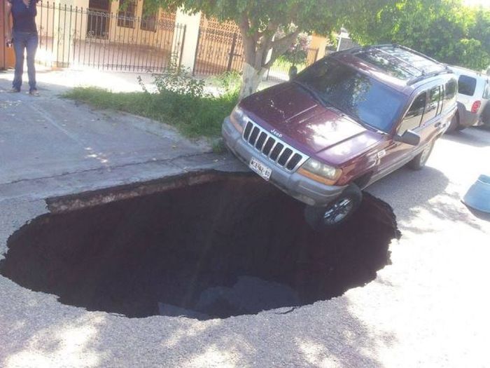 Прикрольные картинки