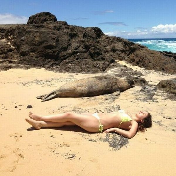 Прикрольные картинки