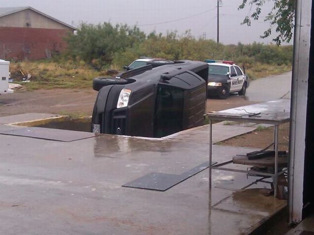 Прикрольные картинки