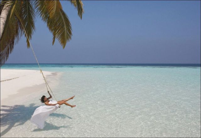 Прикрольные картинки