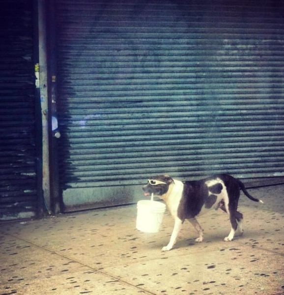 Прикрольные картинки