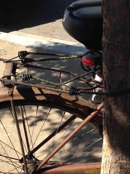 Прикрольные картинки