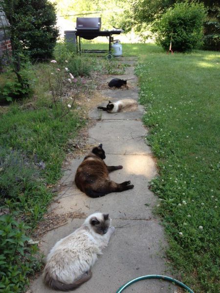 Прикрольные картинки