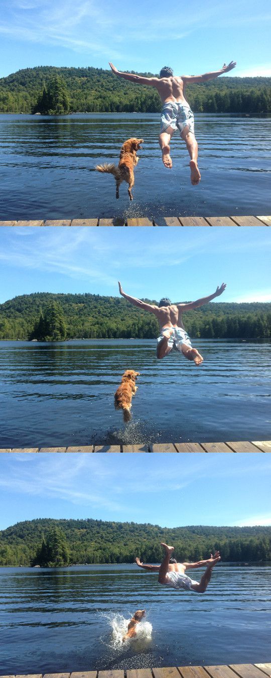 Прикрольные картинки