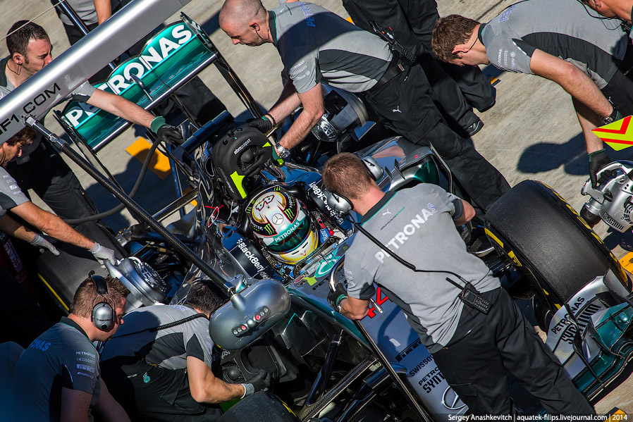 Формула-1 в Сочи