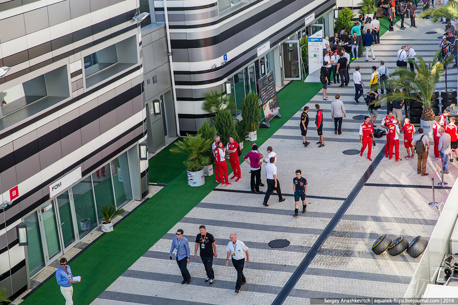 Формула-1 в Сочи