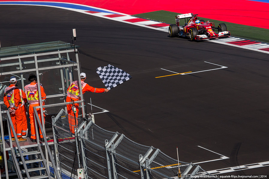 Формула-1 в Сочи