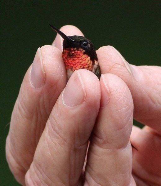 Фото, на которые приятно взглянуть