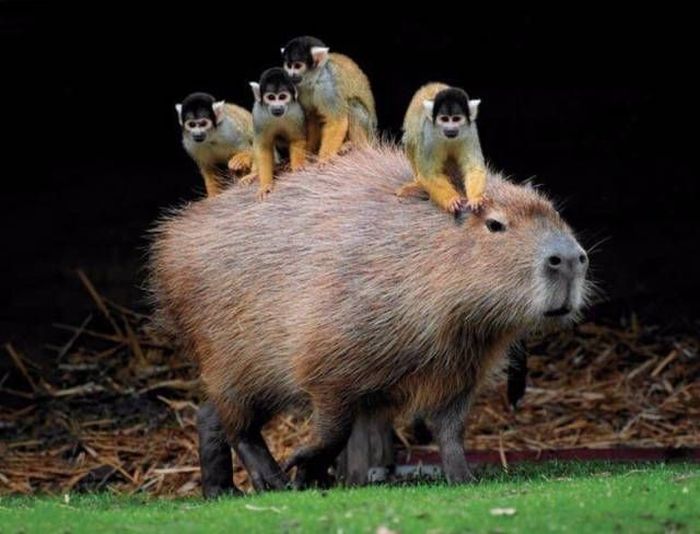 Фото, на которые приятно взглянуть