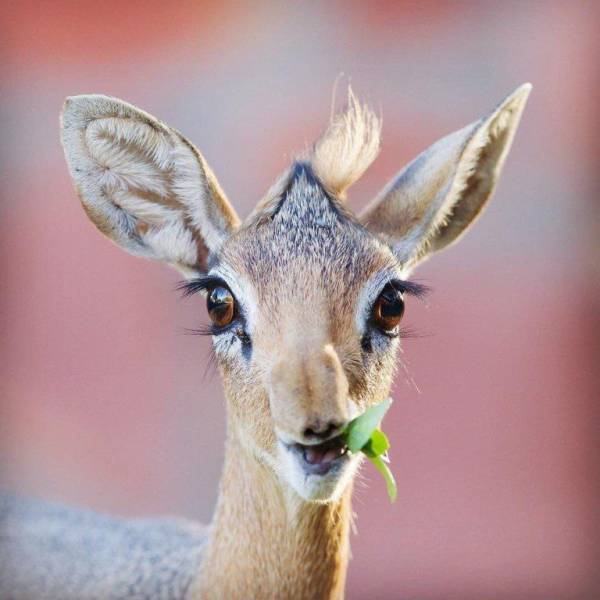 Фото, на которые приятно взглянуть