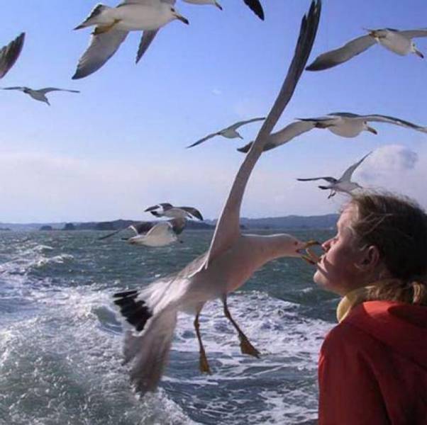 Фото, на которые приятно взглянуть