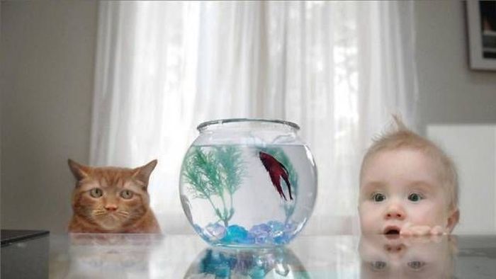 Фото, на которые приятно взглянуть