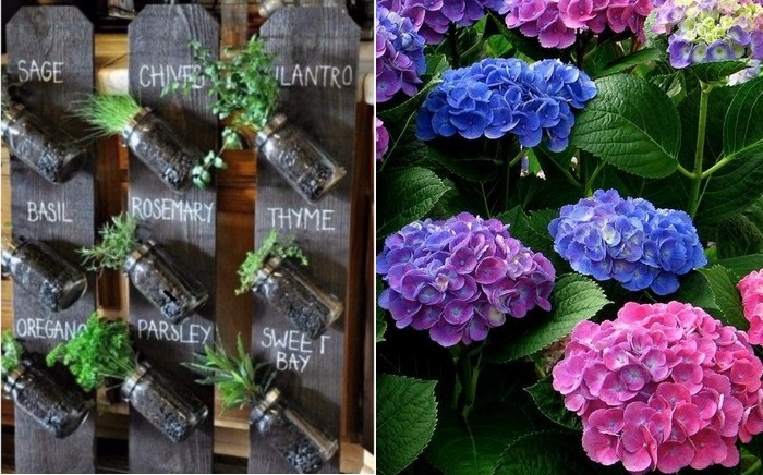 Пятерка бесполезных советов для садоводов Пятерка бесполезных советов для садоводов