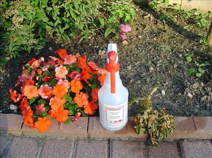 Пятерка бесполезных советов для садоводов Пятерка бесполезных советов для садоводов