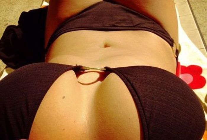 Самый лучший ракурс для фотографирования (38 фото)