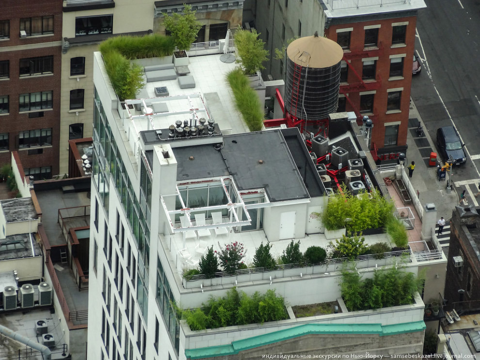 Как выглядит офис финансовых воротил в Нью-Йорке