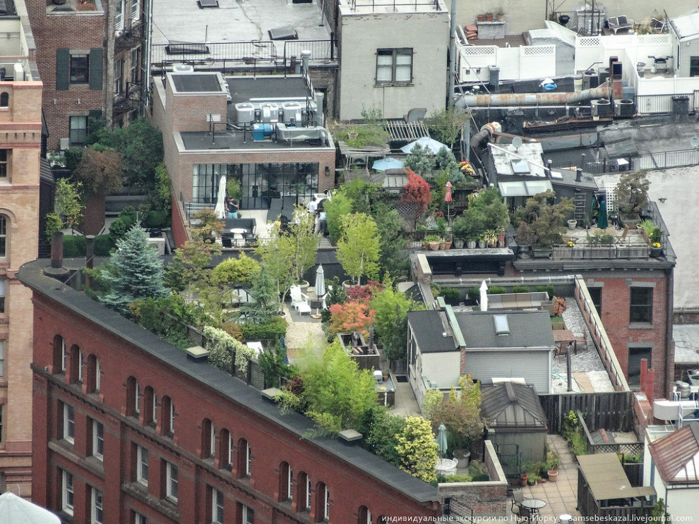 Как выглядит офис финансовых воротил в Нью-Йорке