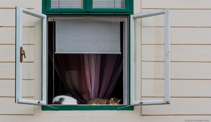 Прогулка по Загребу