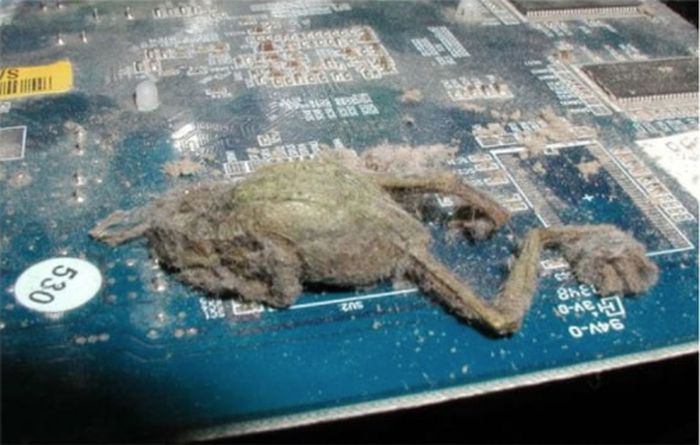 Ад сисадмина