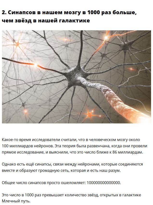Интересные факты о организме человека