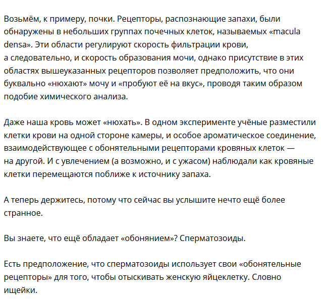 Интересные факты о организме человека