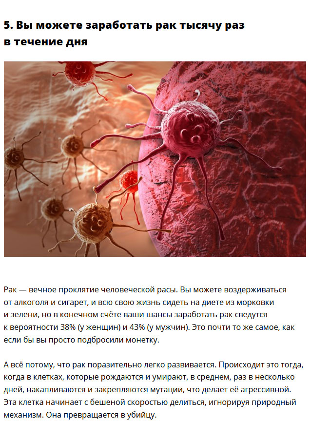 Интересные факты о организме человека