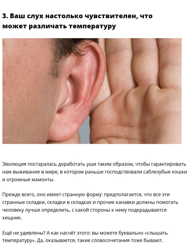 Интересные факты о организме человека