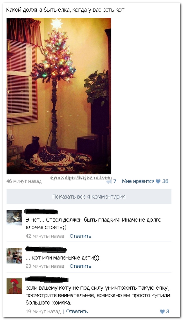 Смешные комментарии из социальных сетей