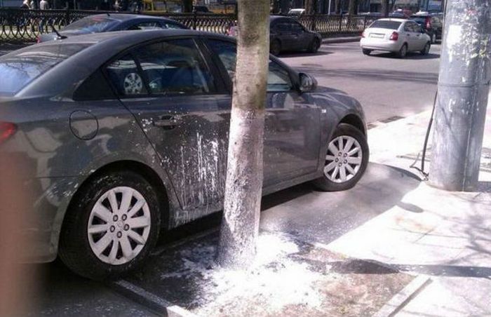 Из России с любовью (44 фото)