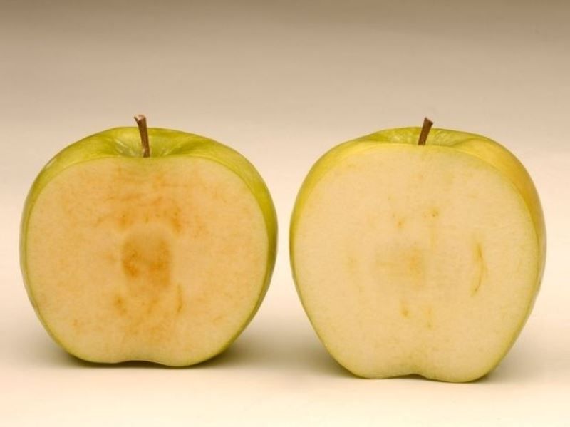 Генетически модифицированные продукты (8 фото)