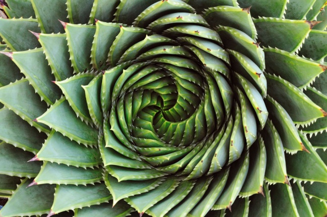 20 моментов запредельного совершенства