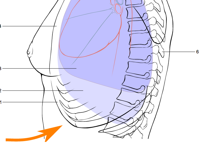 17 фактов, знание которых может однажды спасти вам жизнь 17 фактов, знание которых может однажды спасти вам жизнь