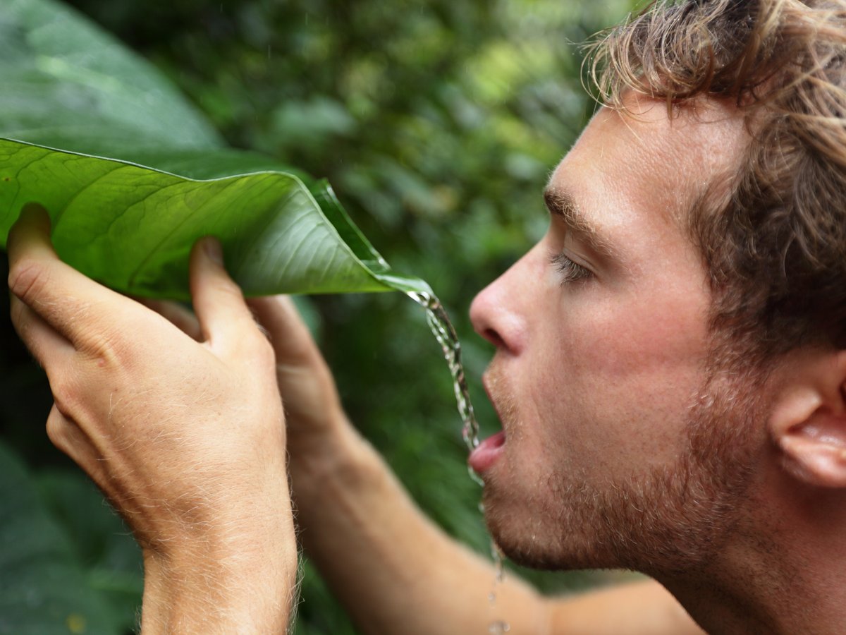 17 фактов, знание которых может однажды спасти вам жизнь 17 фактов, знание которых может однажды спасти вам жизнь