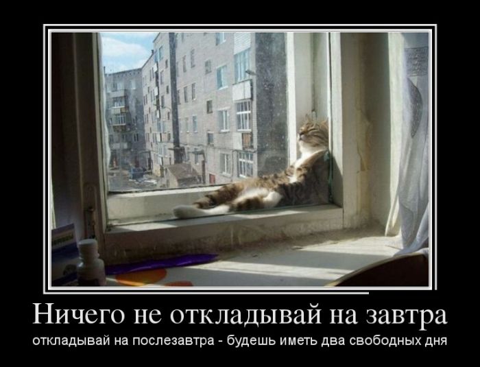 Демотиваторы